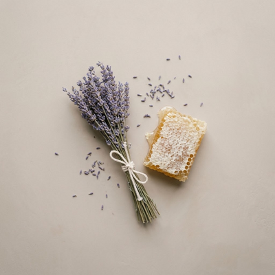 Lavender - Late Suite