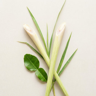 Citronella Pure Drop Refill